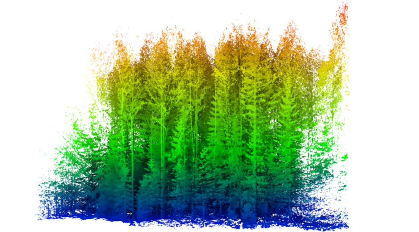 Tree extraction from forest data — Original