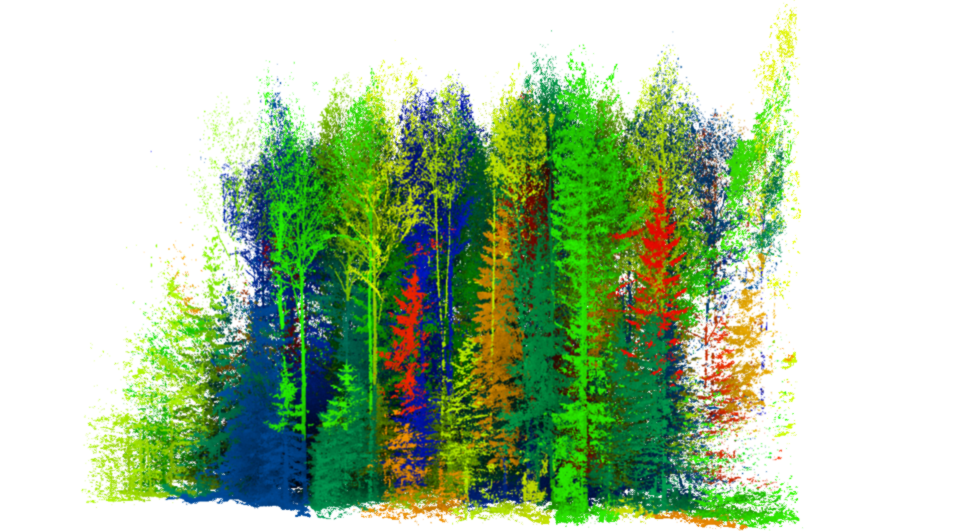 Tree extraction from forest data — Classification / extraction